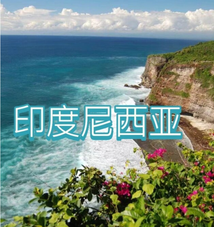 国际电商(印尼)产业博览会开元ky棋牌2025中国(图3)